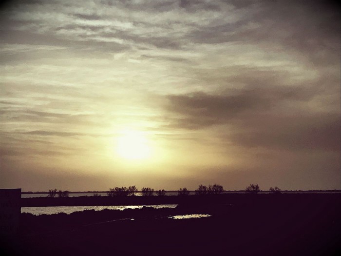 Soleil couchant sur les marais
